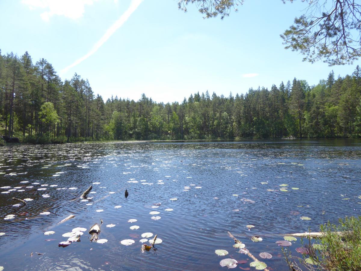 Ydrefors Bed&Breakfast Exterior foto